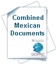 Mexico Declaration Mar 2011