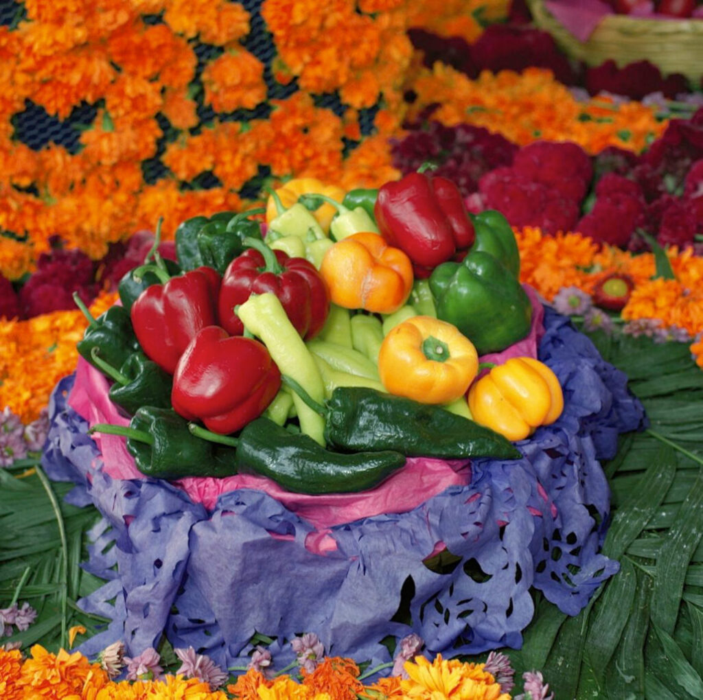 Food Altar at Frida Kalho house Mexico City